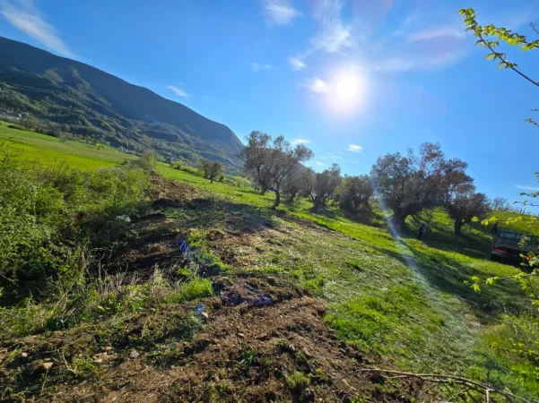 SUPER OKAZIONN 🔥🔥🔥Tirane, shitet toke 400 m²  34.990 € (Fikas, Mullet, 600M larg Equos)