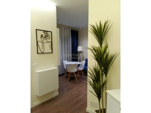 Tirane, jepet me qera apartament 1+1 Kati 3, 500 € 
