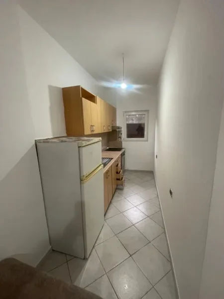 Tirane, jepet me qera Vile 1+1 Kati 1, 60 m² 320 € (Rruga Babë Rexha, Globe, Tiranë)