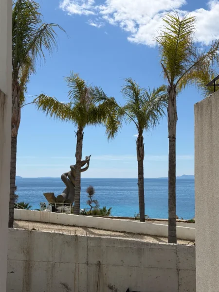 Vlore, shitet apartament 1+1 Kati 0, 106 m² 423.838 € (Dhermi)