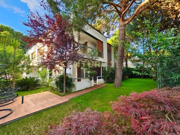 Durres, shes Vile 2 Katshe , 736 m² 800.000 € (Lura 1)