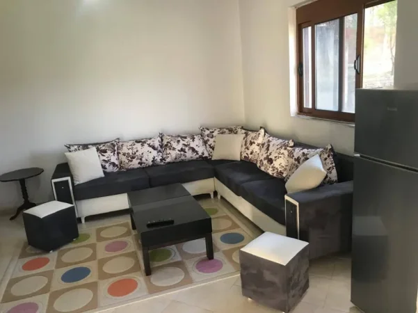Tirane, jepet me qera apartament 1+1 Kati 1, 350 € (rruga ali demi)