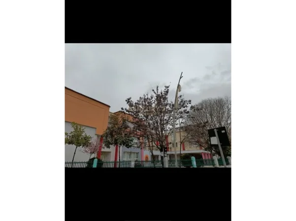 Tirane, shitet ambjent biznesi Kati 0, 66 m² 190.000 € (Vasil Shanto)