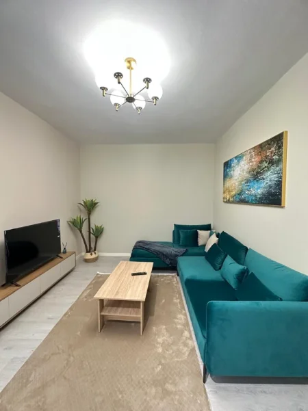 Tirane, jepet me qera apartament 1+1 Kati 5, 60 m² 450 € (Rruga Tom Plezha)