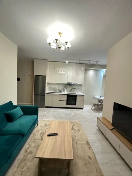Tirane, jepet me qera apartament 1+1 Kati 5, 60 m² 450 € (Rruga Tom Plezha)