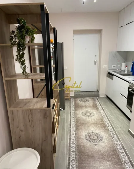 Tirane, jepet me qera apartament 1+1 Kati 1, 60 m² 600 € (RRUGA E ELBASANIT)