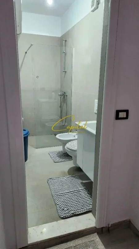 Tirane, jepet me qera apartament duplex 1+1 Kati 2, 90 m² 500 € (ALI DEMI)