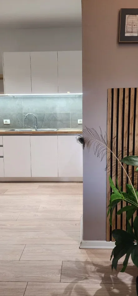 Tirane, jepet me qera apartament 1+1 Kati 2, 70 m² 650 € (Myslym Shyri)