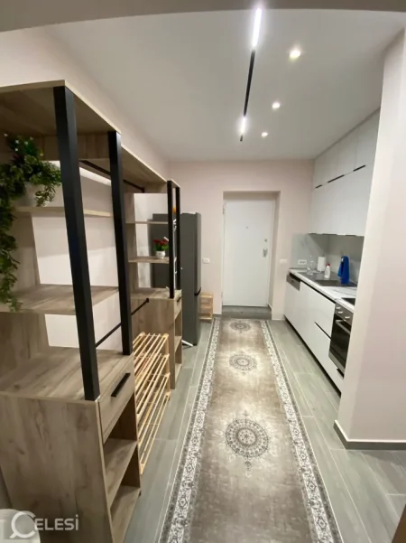 Tirane, jepet me qera apartament 1+1+Ballkon Kati 1, 60 m² 650 € (RRUGA ELBASANIT)