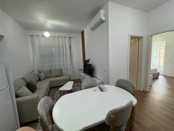 Tirane, jepet me qera apartament 1+1 Kati 1, 55 m² 450 € (ALI DEMI)