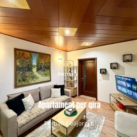Tirane, jepet me qera apartament 1+1 Kati 2, 55 m² 570 € (Perball Delijorgjit)