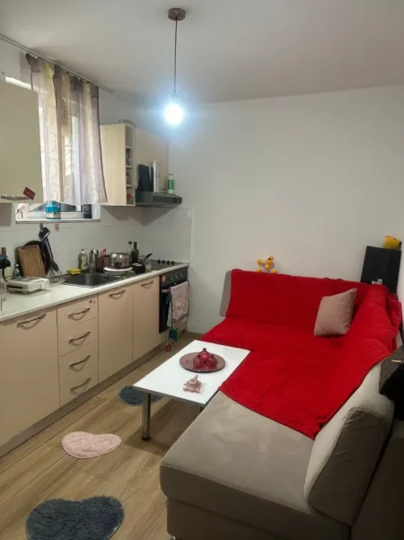 Tirane, jepet me qera Vile 1+1 Kati 2, 40 m² 350 € (Qender/Rr.Cameria/Posta Shqiptare)