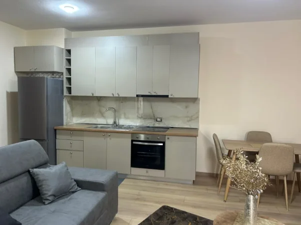 JEPET APARTAMENT 1+1 ME QERA TEK GLOBE , RRUGA E KAVAJËS (PËRBALLË DELIJORGJIT), 650 EUR