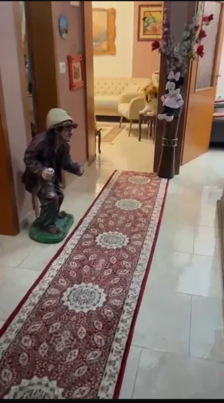 Tirane, jepet me qera apartament 2+1+Ballkon Kati 2, 70 m² 700 € (ISH EKSPOZITA)