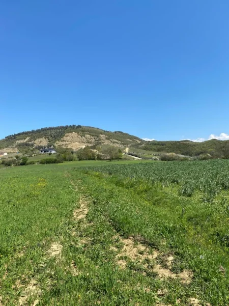 Tirane, shitet toke , 19.000 m² 798.000 € (Arbanë)