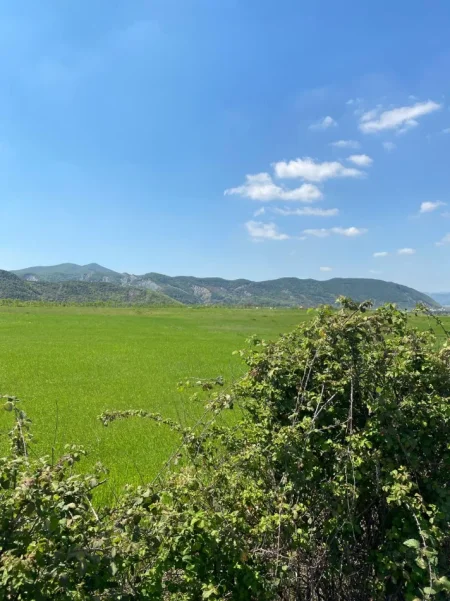 Tirane, shitet toke , 6.300 m² 529.000 € (Vishnje)