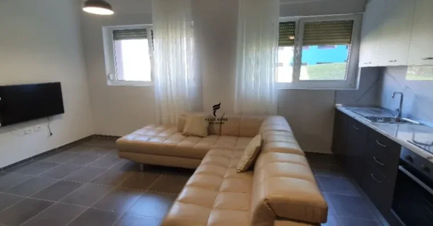 Tirane, jepet me qera apartament 2+1 Kati 1, 82 m² 500 € (ALI DEMI)