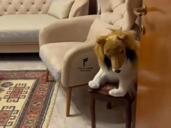 Tirane, jepet me qera apartament 2+1 Kati 2, 67 m² 700 € (ISH EKSPOZITA)