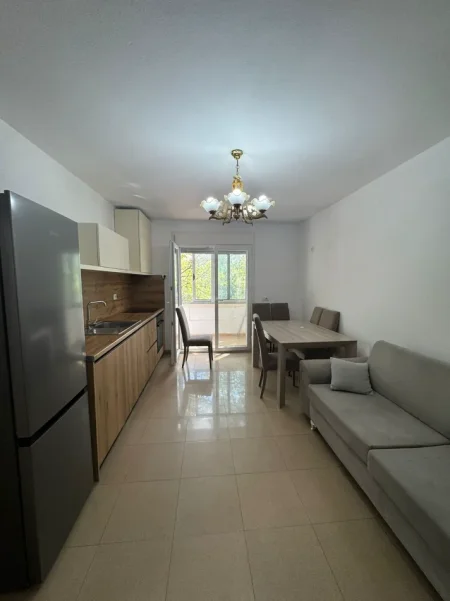 APARTAMENT 2+1 ME QIRA  600 € (VASIL SHANTO)