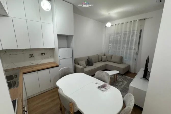 Tirane, jepet me qera apartament 1+1 Kati 1, 65 m² 470 € (Rruga Pasho Hysa)