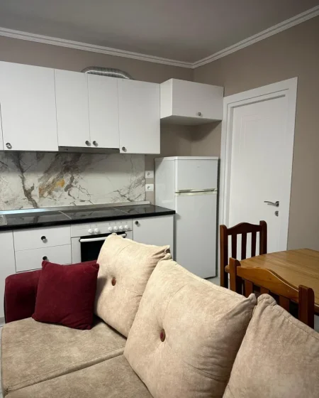 Tirane, jepet me qera apartament 1+1 Kati 1, 60 m² 400 € (Rruga E Elbasanit)