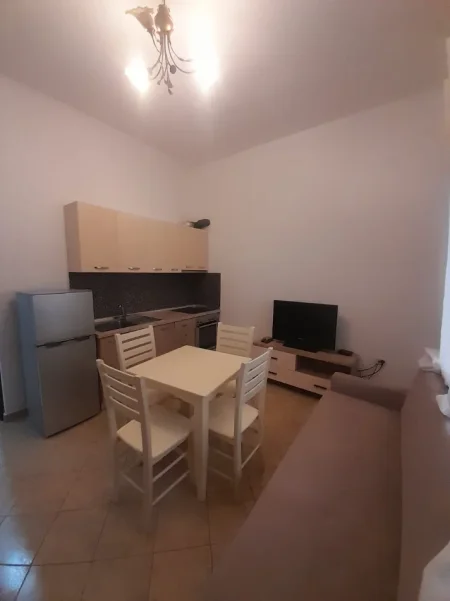 Tirane, jepet me qera Banesë 1+1 Kati 1, 60 m², Çmimi 30.000 Lekë të Reja,(Rruga Petrela, Stacioni i Trenit, Tiranë.)