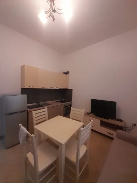 Tirane, jepet me qera Banesë 1+1 Kati 1, 60 m², Çmimi 30.000 Lekë të Reja,(Rruga Petrela, Stacioni i Trenit, Tiranë.)