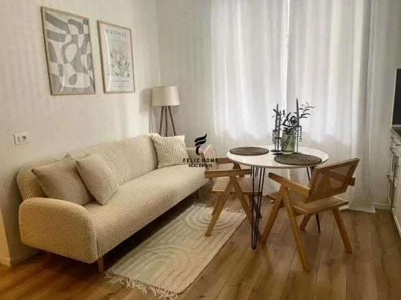 Tirane, jepet me qera apartament 1+1 Kati 1, 50 m² 450 € (STACIONI I TRENIT)