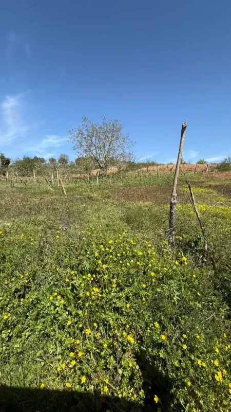 Tirane, shitet toke , 2.714 m² 400.000 € (Lunder)