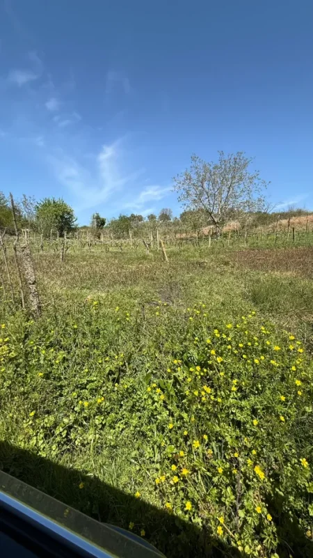 Tirane, shitet toke , 2.714 m² 400.000 € (Lunder)