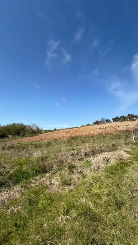 Tirane, shitet toke , 2.714 m² 400.000 € (Lunder)