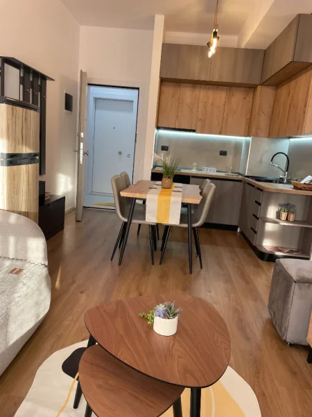 Tirane, jap me qera apartament 1+1+Ballkon Kati 6, 60 m² 450 € (Rruga Pasho Hysa)