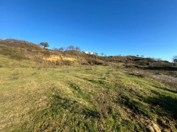 Tirane, shitet toke , 3.000 m² 210.000 € (Yzberisht)