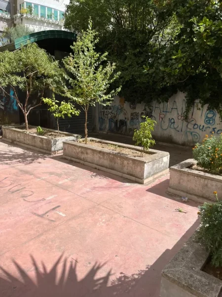 Tirane, jepet me qera magazine Kati 0, 30 m² 300 € (PRANE LULISHTES)