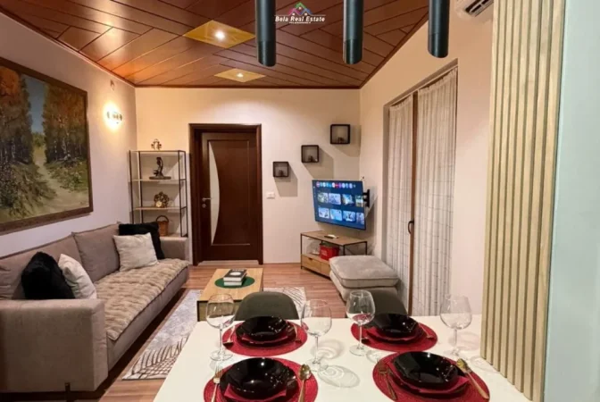 Tirane, jepet me qera Vile 1+1+Ballkon Kati 2, 55 m² 580 € (rruga e kavajes)