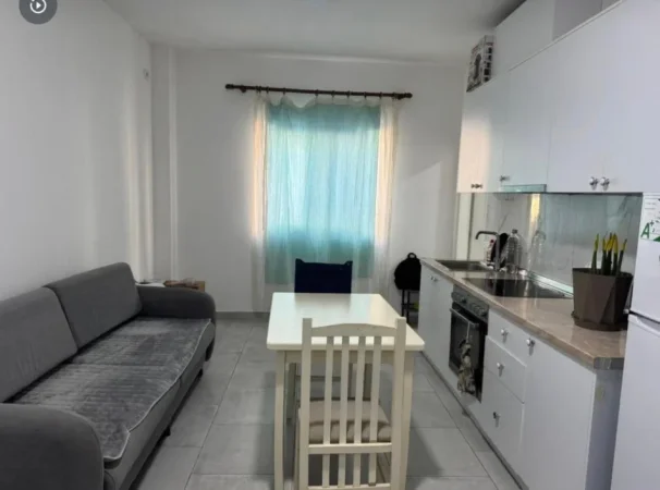 Tirane, jepet me qera apartament 1+1 Kati 1, 60 m² 400 € (5 Maji prane Big Market)