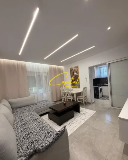 Tirane, jepet me qera apartament 1+1 Kati 1, 66 m² 450 € (RRUGA E DIBRES)