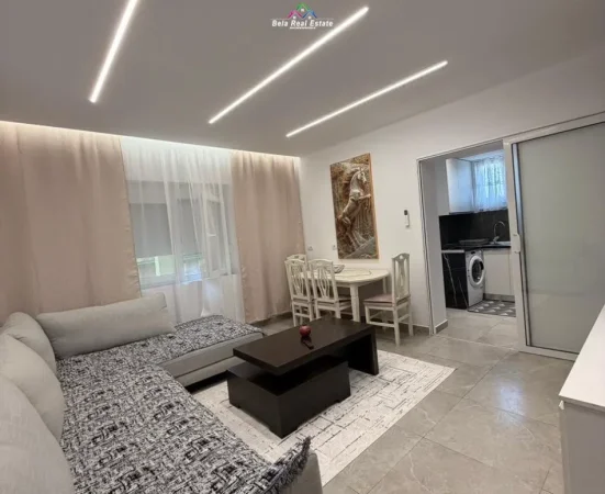 Tirane, jepet me qera Vile 1+1+Ballkon Kati 1, 65 m² 520 € (5 maji)