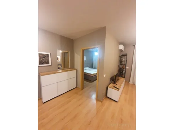 Tirane, jepet me qera apartament 1+1 Kati 2, 70 m² 550 € (21 Dhjetori ish parku kontakti)