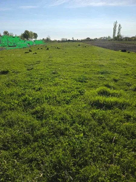 Shitet toke në Barbullojë, Lezhë