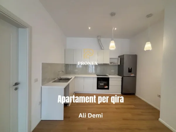 Tirane, jepet me qera apartament 1+1 Kati 0, 65 m² 500 € (Ali Demi)