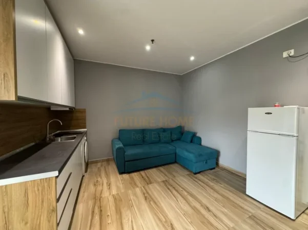 Tirane, shitet apartament 1+1 Kati 1, 33 m² 80.000 € (Liqeni i Thate, Tirane.)