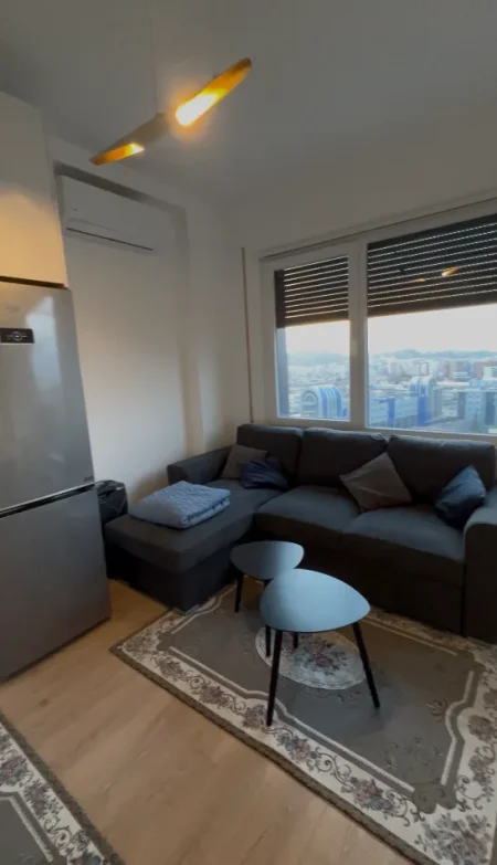 Tirane, jepet me qera apartament 1+1 Kati 10, 55 m² 450 € (Rruga Bedri Karapici perballe Amerikan 3)