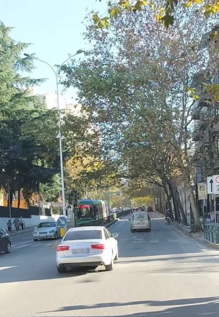 Tirane, jepet me qera dyqan Kati 0, 59 m² 700 € 