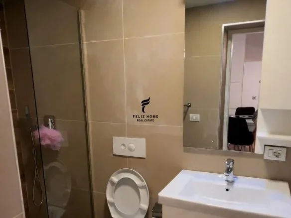 Tirane, jepet me qera apartament 1+1 Kati 1, 70 m² 550 € (LIQENI I THATE)