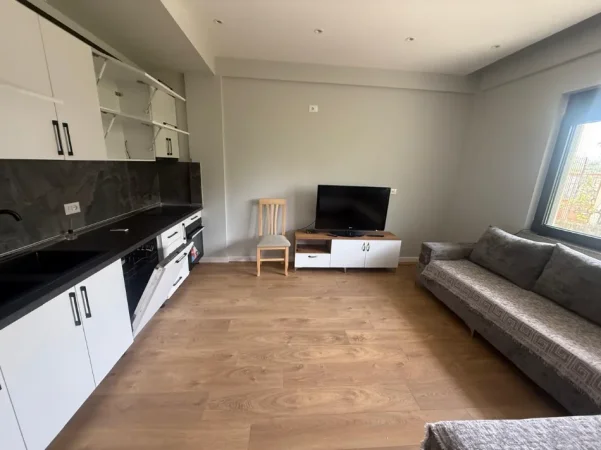 Tirane, jepet me qera apartament 1+1 Kati 1, 65 m² 350 € (Fresku)