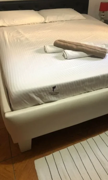 Tirane, jepet me qera apartament 1+1 Kati 1, 65 m² 500 € (KOMUNA E PARISIT)