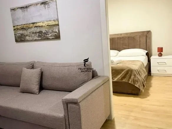 Tirane, jepet me qera apartament 1+1 Kati 2, 50 m² 650 € (RRUGA MUHAMET GJOLLESHA)