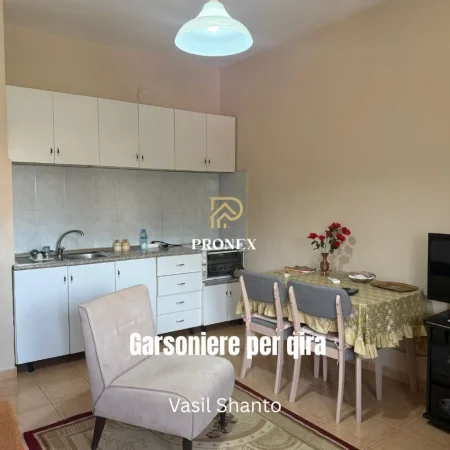 Tirane, jepet me qera apartament 1+1 Kati 2, 30 m² 400 € (Vasil Shanto / Rruga Irfan Tomini)