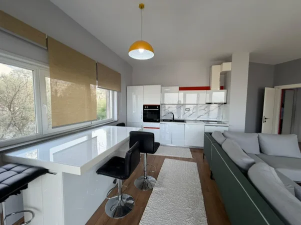 Tirane, jepet me qera apartament 2+1 Kati 4, (KOPSHTI BOTANIK)